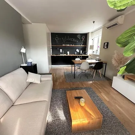公寓 Trendy Getaway 卢布尔雅那